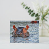 Wildlife Hippo Water Foto Briefkaart (Staand voorkant)