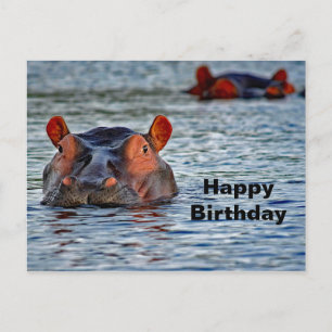 Wildlife Hippo Water Foto Briefkaart