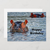 Wildlife Hippo Water Foto Briefkaart (Voorkant / Achterkant)