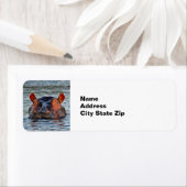 Wildlife Hippo Water Foto Etiket (Insitu)