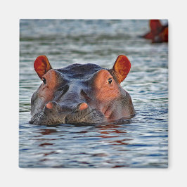 Wildlife Hippo Water Foto Magneet