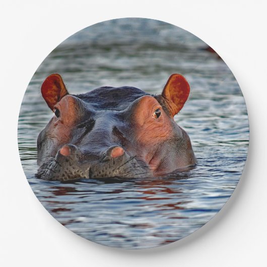 Wildlife Hippo Water Foto Papieren Bordje (Voorkant)