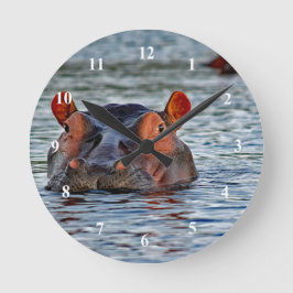 Wildlife Hippo Water Foto Ronde Klok