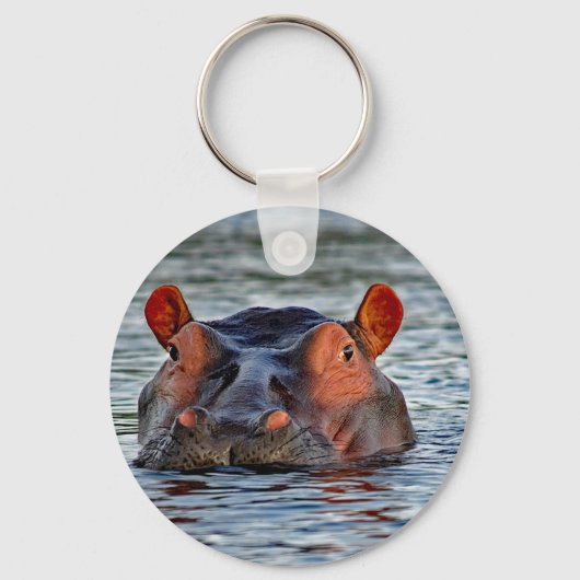 Wildlife Hippo Water Foto Sleutelhanger (Voorkant)
