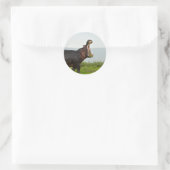 Wildlife Hippopotamus Foto Ronde Sticker (Tas)