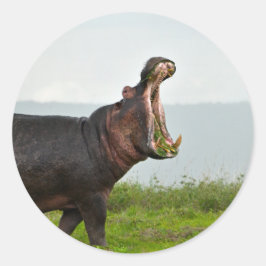Wildlife Hippopotamus Foto Ronde Sticker