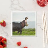 Wildlife Hippopotamus Foto Servet (Insitu)