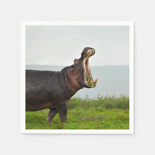 Wildlife Hippopotamus Foto Servet (Voorkant)