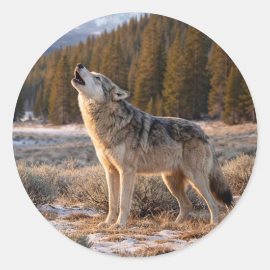 Wildlife Howling Gray Wolf Wilderness Scene Ronde Sticker (Voorkant)