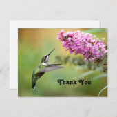 Wildlife Hummingbird Floral Foto Dank u Briefkaart (Voorkant / Achterkant)