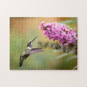 Wildlife Hummingbird Floral Foto Legpuzzel