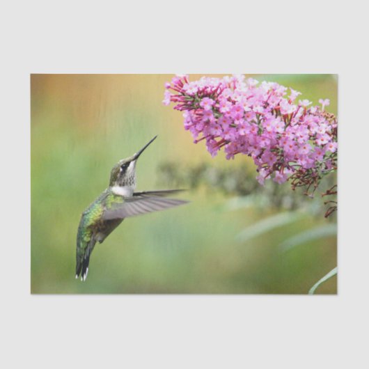 Wildlife Hummingbird Floral Foto Tissuepapier (Voorkant)