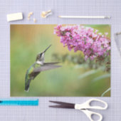 Wildlife Hummingbird Floral Foto Tissuepapier (Craft)