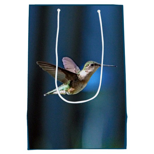 Wildlife Hummingbird Foto Medium Cadeauzakje (Achterkant)