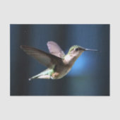 Wildlife Hummingbird Foto Tissuepapier (Voorkant)