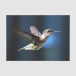 Wildlife Hummingbird Foto Tissuepapier