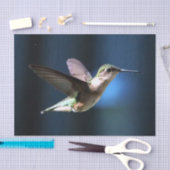 Wildlife Hummingbird Foto Tissuepapier (Craft)