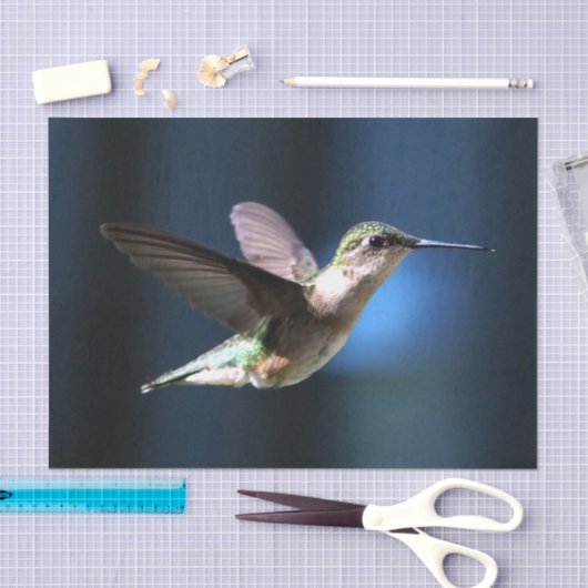 Wildlife Hummingbird Foto Tissuepapier (Craft)