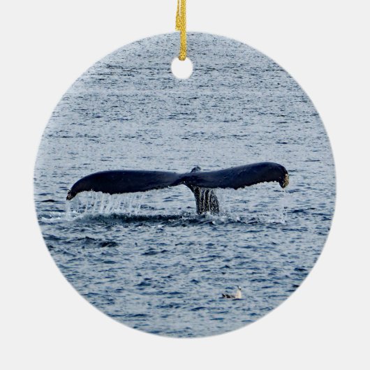 Wildlife Humpback Whale Tail Foto Keramisch Ornament (Achterkant)