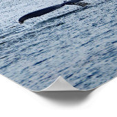 Wildlife Humpback Whale Tail Foto Poster (Hoek)