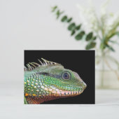 Wildlife Iguana Foto Briefkaart (Staand voorkant)