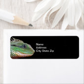 Wildlife Iguana Foto Etiket (Insitu)