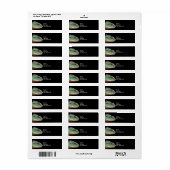 Wildlife Iguana Foto Etiket (Full Sheet)