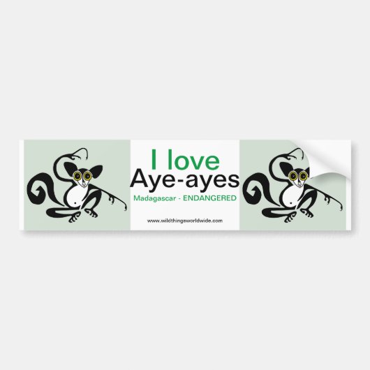Wildlife - Ik hou van AYE-AYEs - Natuur Bumpersticker (Voorkant)