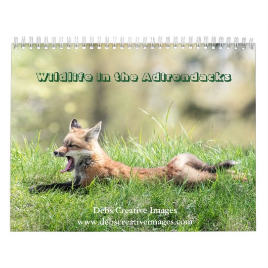 Wildlife in de Adirondacks Kalender 2026 (Hoes)