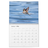 Wildlife in de Adirondacks Kalender 2026 (Jan 2026)