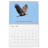 Wildlife in de Adirondacks Kalender 2026 (Mar 2027)