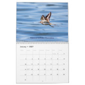 Wildlife in de Adirondacks Kalender 2026 (Jan 2027)