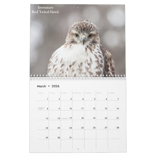 Wildlife in de Hudsonvallei 2026 Kalender (Mar 2026)