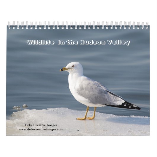 Wildlife in de Hudsonvallei 2026 Kalender (Hoes)