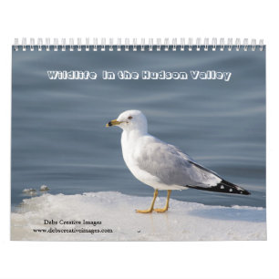Wildlife in de Hudsonvallei 2026 Kalender