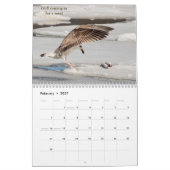 Wildlife in de Hudsonvallei 2026 Kalender (Feb 2027)