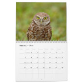 Wildlife in het zuidwesten van Florida 2026 Kalender (Feb 2026)