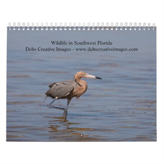 Wildlife in het zuidwesten van Florida 2026 Kalender (Hoes)