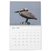 Wildlife in het zuidwesten van Florida 2026 Kalender (Mar 2027)