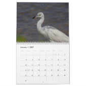 Wildlife in het zuidwesten van Florida 2026 Kalender (Jan 2027)