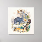 Wildlife in Natuur Kunst Canvas Afdruk (Voorkant)