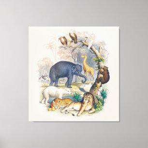  Wildlife in Natuur Kunst Canvas Afdruk