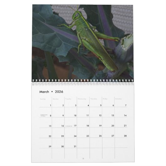 Wildlife & Insects Kalender (Mar 2026)