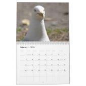 Wildlife & Insects Kalender (Feb 2026)