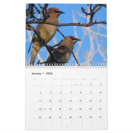 Wildlife & Insects Kalender (Jan 2026)
