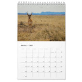 Wildlife Kalender (Jan 2027)
