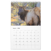 Wildlife Kalender (Mar 2026)
