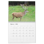 Wildlife Kalender (Feb 2026)