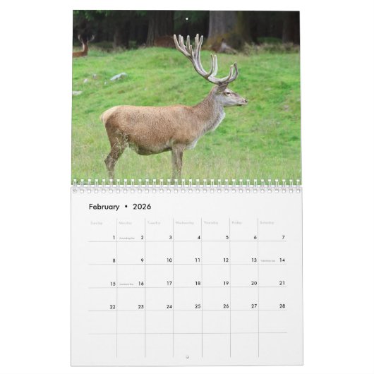 Wildlife Kalender (Feb 2026)