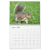 Wildlife Kalender (Jan 2026)